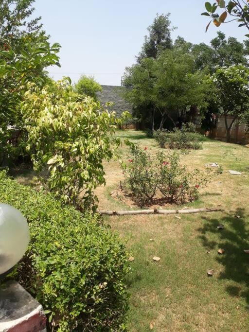 Achal Farm जंगल में मंगल Villa Гургаон Екстериор снимка