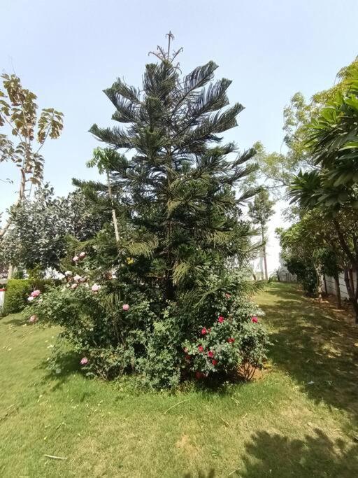 Achal Farm जंगल में मंगल Villa Гургаон Екстериор снимка
